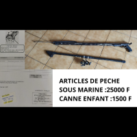 Vignette pour l'image de la liste principale