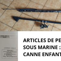 Vignette pour l'image de la liste principale
